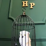 Zauberhafte Mit Hogwarts-feeling Und Terrasse Duisburgo