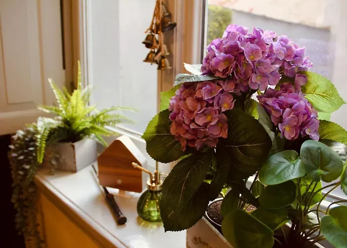 Lejlighed Zauberhafte Mit Hogwarts-feeling Und Terrasse *